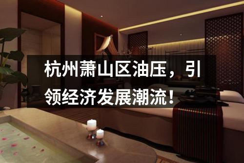 杭州萧山区油压，引领经济发展潮流！